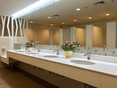 Luxury Vanity Area